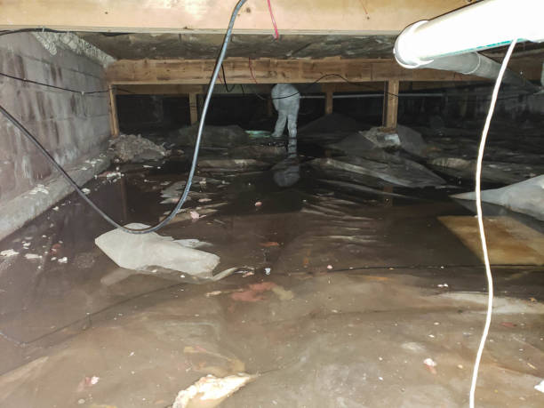 Storm and Flood Water Damage Restoration